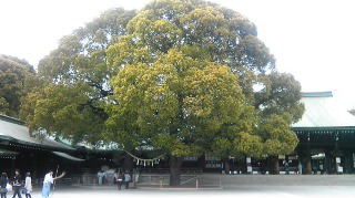 Image0011.jpg