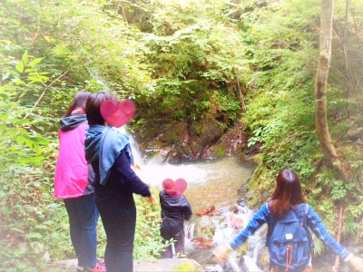 image1.JPG
