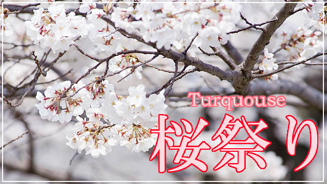 sakura_2018.jpg