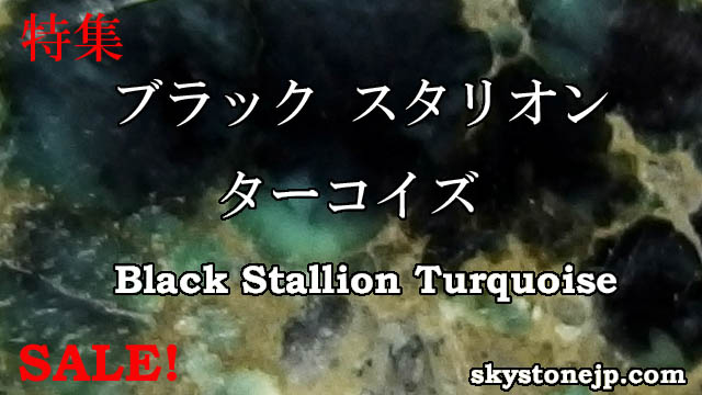 blackst-sale-top00.jpg
