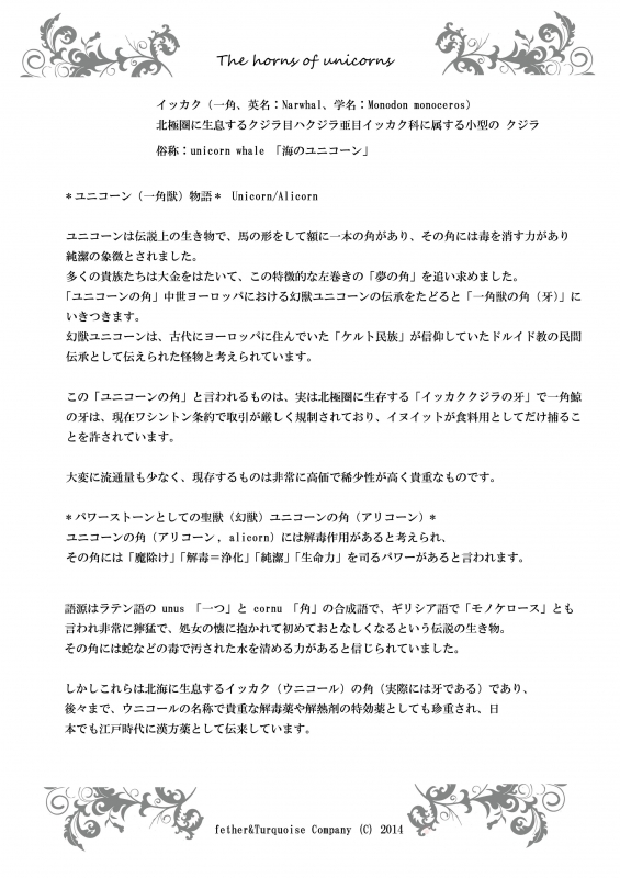 ユニコーンの角説明書.jpg