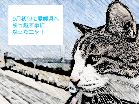 0421-002-sk2.jpg