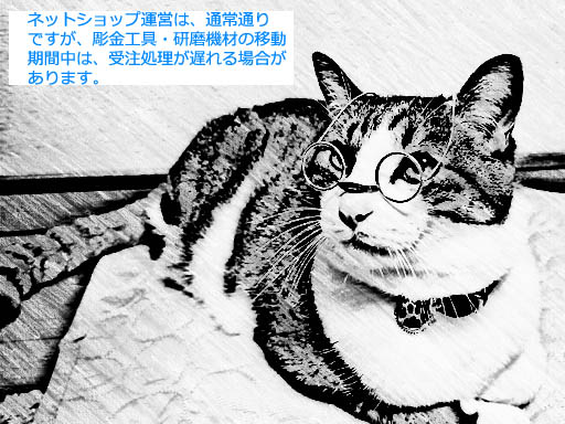 MEW640x480-sk2.jpg