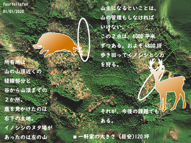 20200101-013.jpg