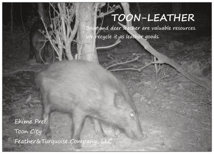 toonleather.jpg