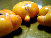 kaki