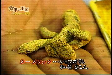 うこん