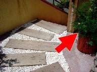 エントランス脇の秘密の農園