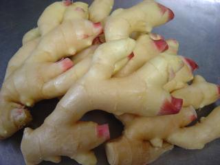 しょうが