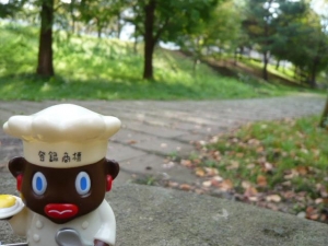 緑道