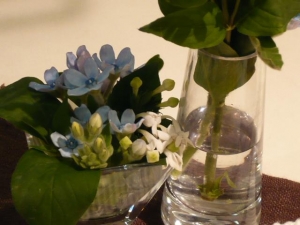 お花