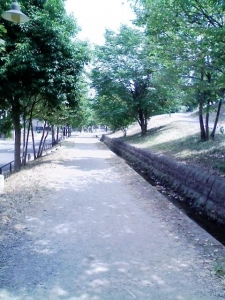 緑道5