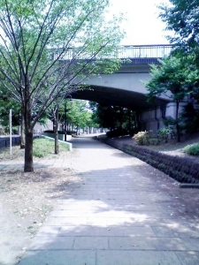 緑道6