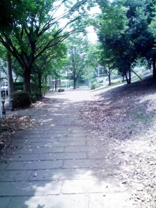 緑道7