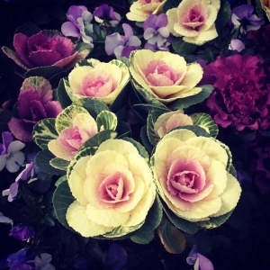 花