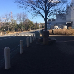 オーケー裏通り