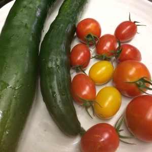 地元野菜