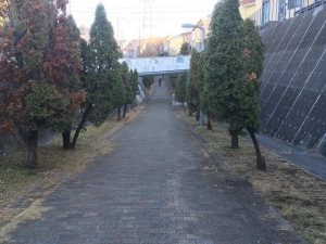 白い橋
