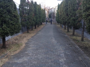 のぼり坂