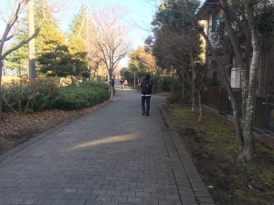 平坦な道