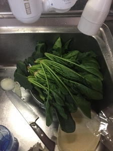 ほうれん草