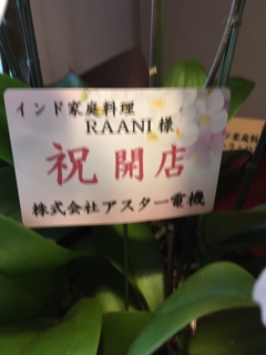 胡蝶蘭