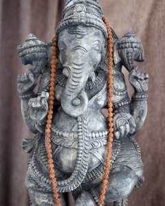 ���͡�����