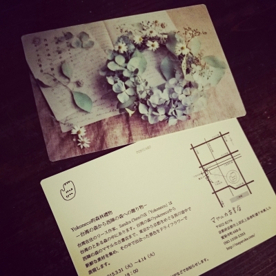 yokoneco