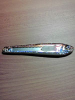 まさに魚!
