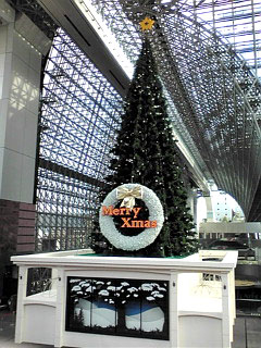 巨大クリスマツスリー近くから