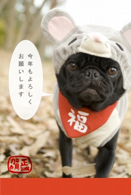 ǯ²ì¥Á¥ç¥³