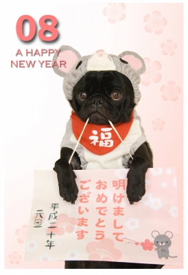 ǯ²ì¥Á¥ç¥³2