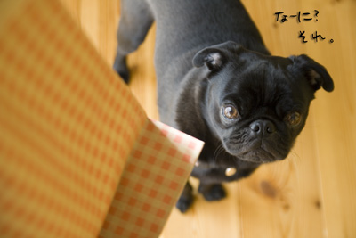何が届いた??