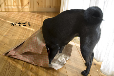 物色中