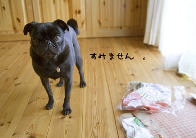 やめなさーい!