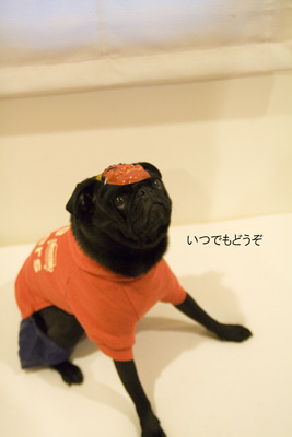 豆まきいくよー!