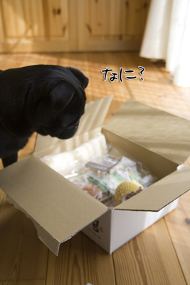なに?