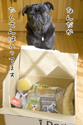 すごいね〜!