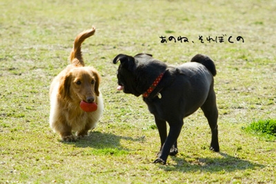 会話中