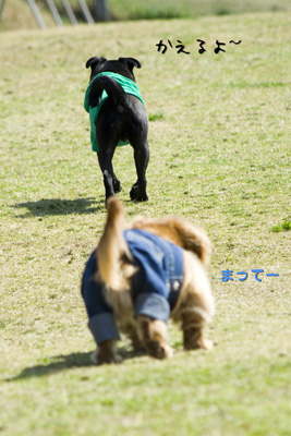 楽しんだね〜♪