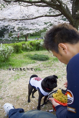 花より団子♪