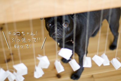 失敗の巻