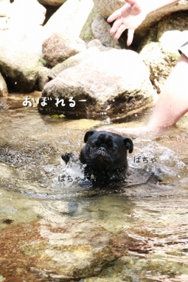 落とされたり
