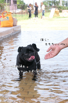 温泉は暑いよね