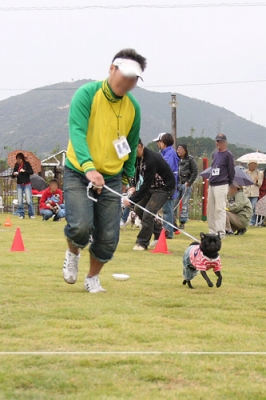 お散歩レース
