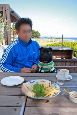 チッタナポリのレストラン