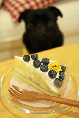 ケーキの後ろに忍び寄る黒い影・・・
