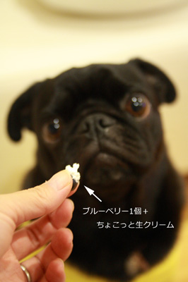 しょうがないので