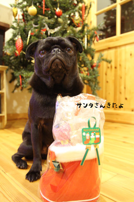 呑ママさんありがとうね〜♪