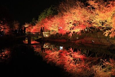 紅葉も見事!